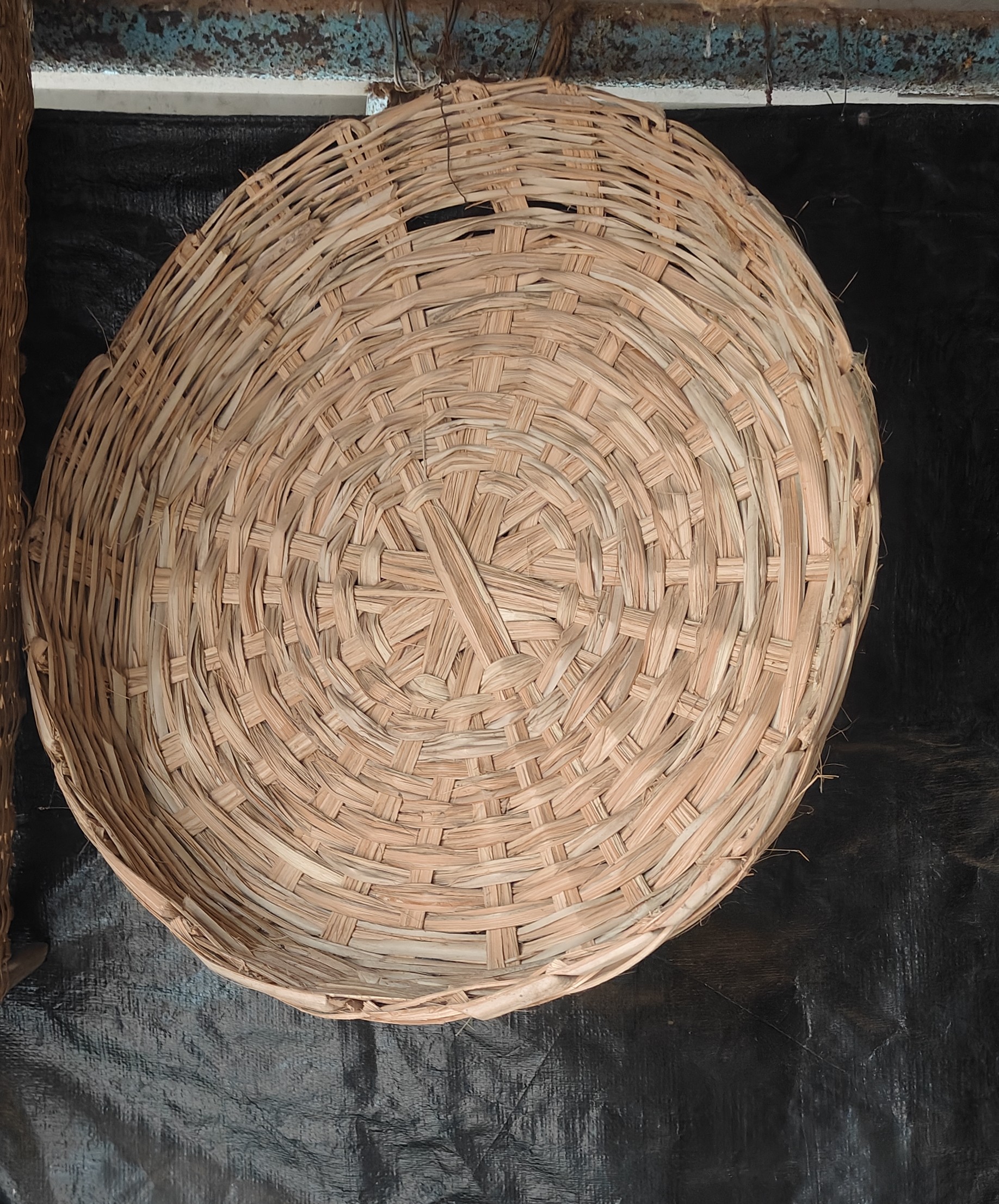 Coconut Thatte, product photograph