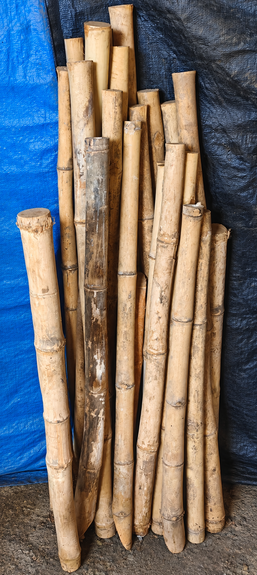 Hammer Sticks, product photograph